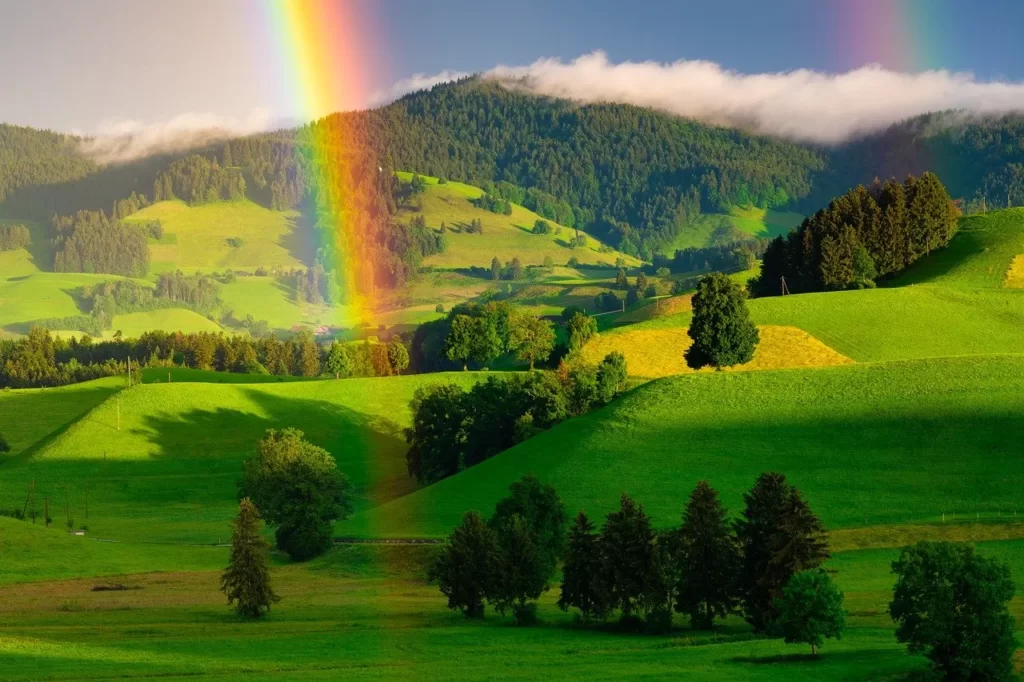 虹のかかる草原